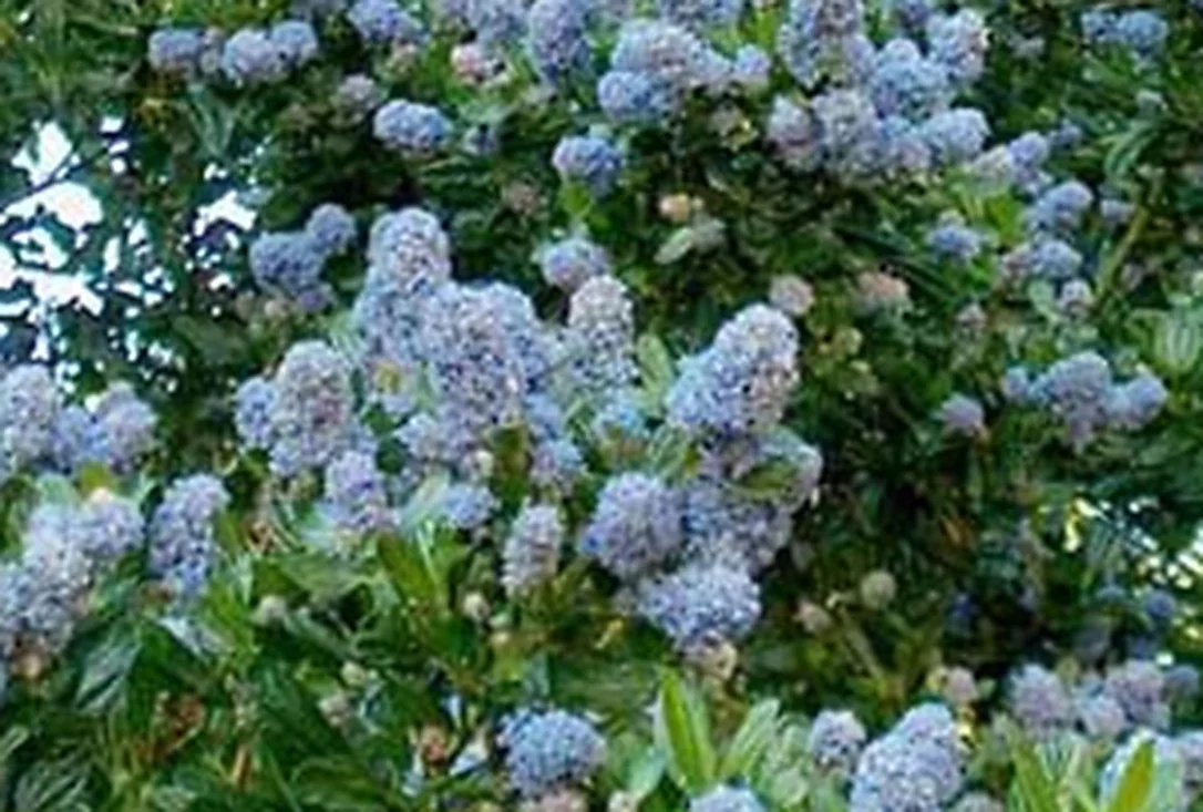 2026_05_05_2795