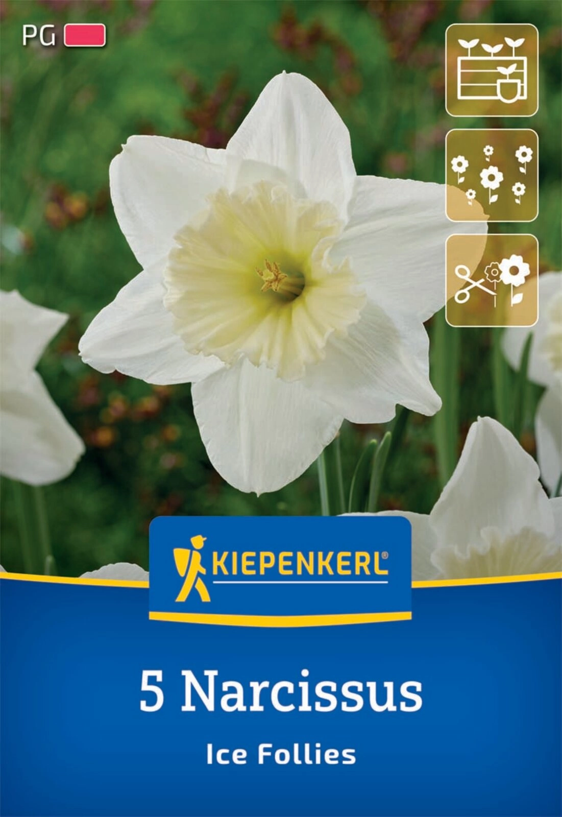 2026_05_11_425702